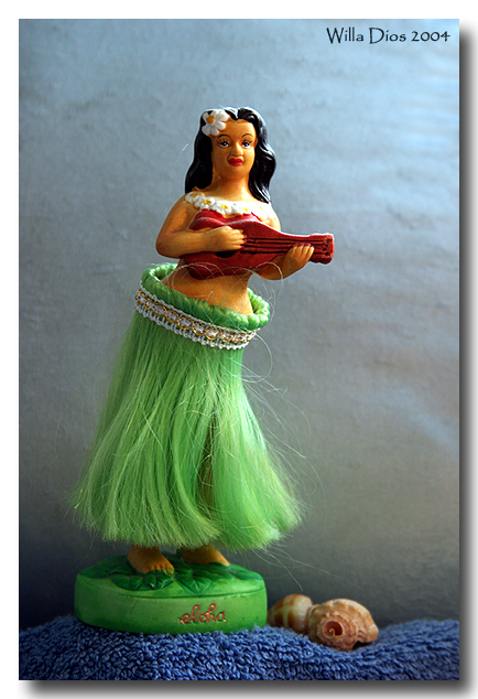 Summer's Here ... C'mon ... Do The Hula!