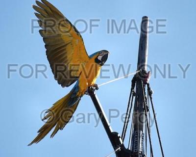 DSC_9126.jpg