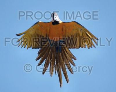 DSC_9128.jpg