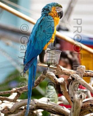 DSC_9175.jpg