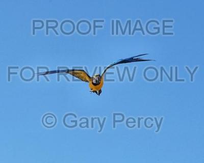 DSC_9286.jpg