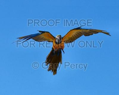 DSC_9287.jpg