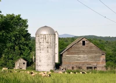 Barn # 5