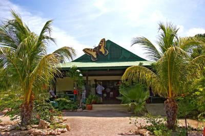 Butterfly Farm - 1