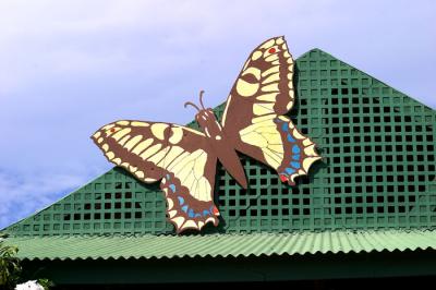 Butterfly Farm - 2