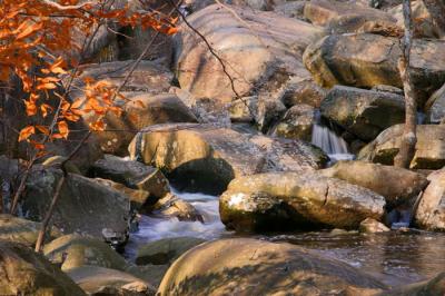 French Creek - 4