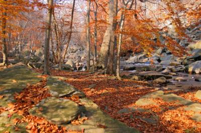 French Creek