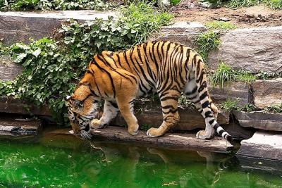 Philadelphia Zoo