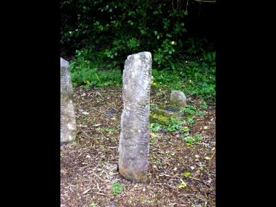 The Dingle Peninsula has the largest collection of Ogham stones