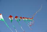 Indian Kites, Surajkund Mela, Delhi