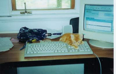 Yvonne's pc with the 'G'Cat