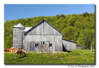 Barn in the country ...