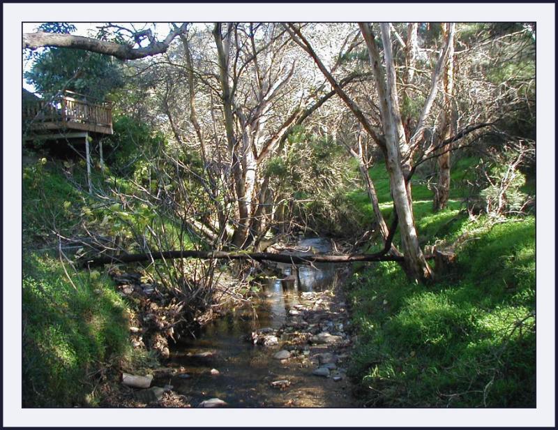 Sturt Creek in June