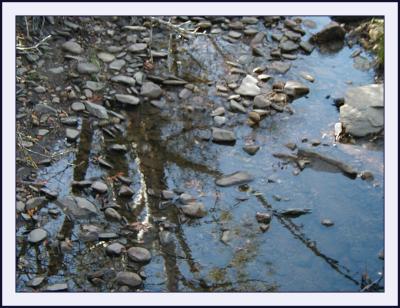 Sturt Creek - reflections