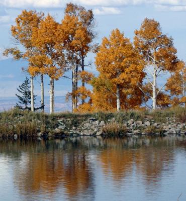 Fall Colors in Southeast Utah