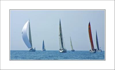 IMG_5369.jpg