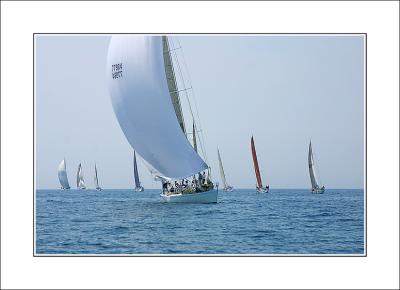 IMG_5373.jpg