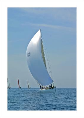 IMG_5376.jpg