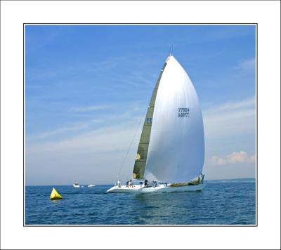 IMG_5381.jpg