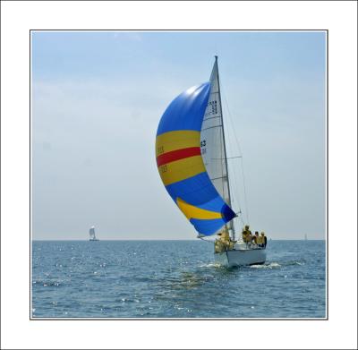IMG_5385.jpg
