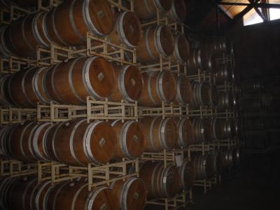 wine run 007.jpg