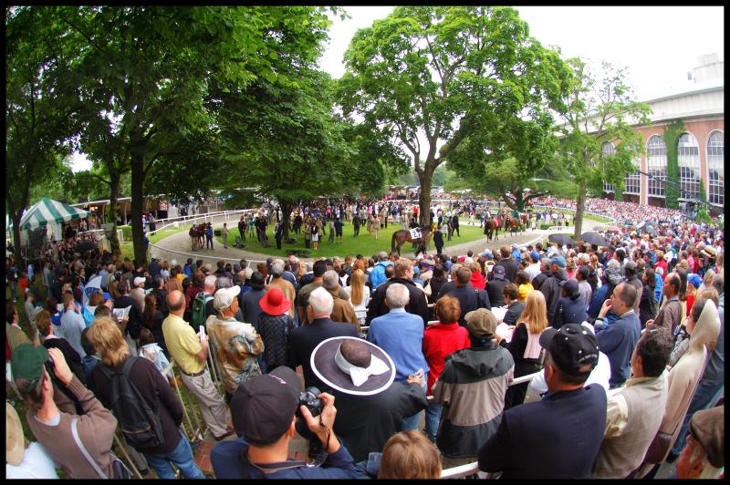 Belmont Park Paddock