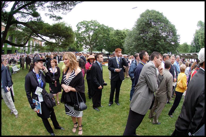 Paddock before the Belmont Stakes