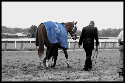 Smarty Jones: After the Race