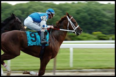 Smarty Jones to the Front