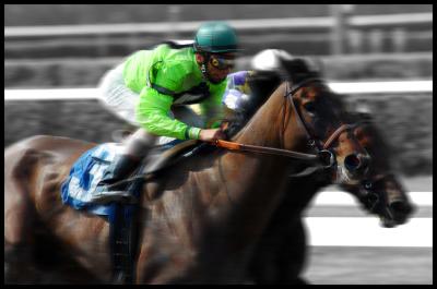 Belmont Stretch