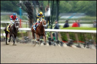 Speightstown Wins True North BC