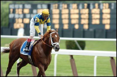Speightstown 1