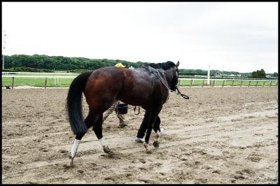 Back to the Barn