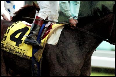 Birstone Wins the Belmont