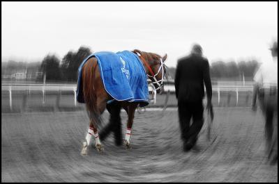 No Triple Crown...