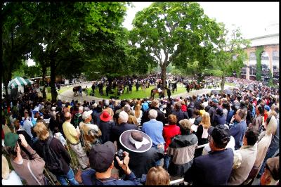 Belmont Day Paddock