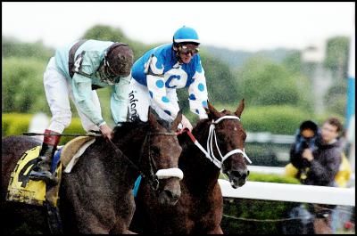 Belmont: Just Past the Finish