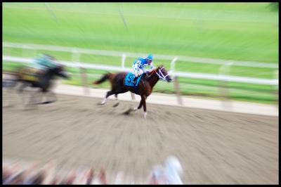 Down the Stretch: Belmont 2004!