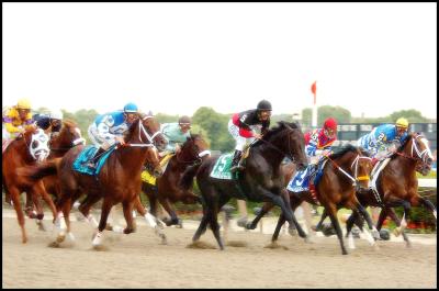 u47/ackerley/medium/30750687.START4.jpg