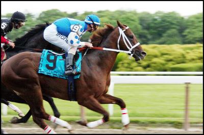 Smarty Vies for the Lead