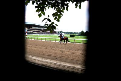 Belmont Through a Fence View