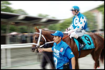 Smarty in the Walking Ring