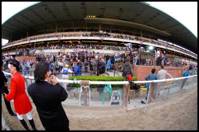 After the Belmont...