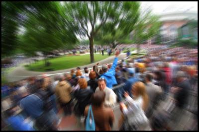 Belmont Day Paddock