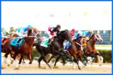 Belmont Stakes 2004: Start5
