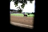 Belmont Through a Fence View