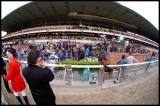 After the Belmont...