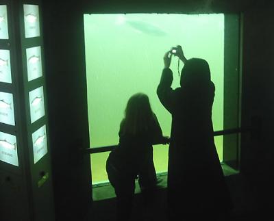 Zoe and Jasmine looking at Fish in the Ladder