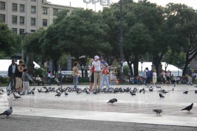 Catalunya Square - fun with pigeions