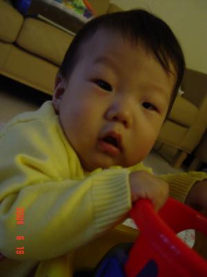 DSC02296.jpg